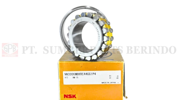 NSK NN3006MBKRE